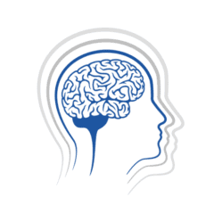 fotka PhDr. Mgr. Vladana Vasková